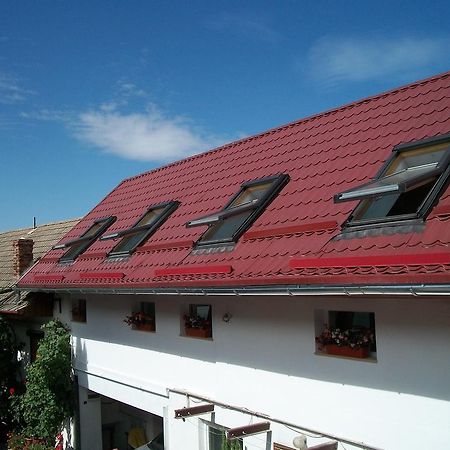 Hotel Casa Sara Săcele Zewnętrze zdjęcie
